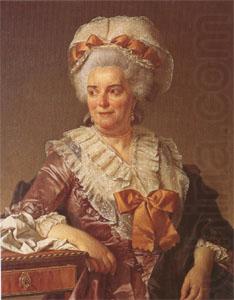 Jacques-Louis  David Madame Pecoul,Mother-in-Law of the Artist (mk05) china oil painting image